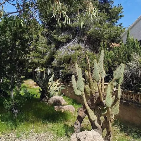 Amanecer Viendo Tabarca Vistas Al Mar